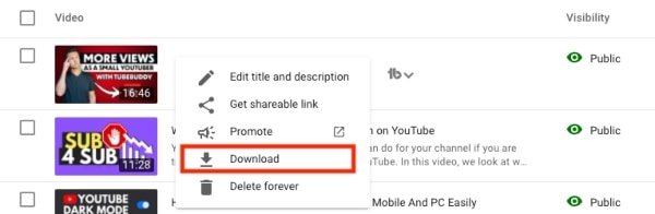 How to download your own YouTube video