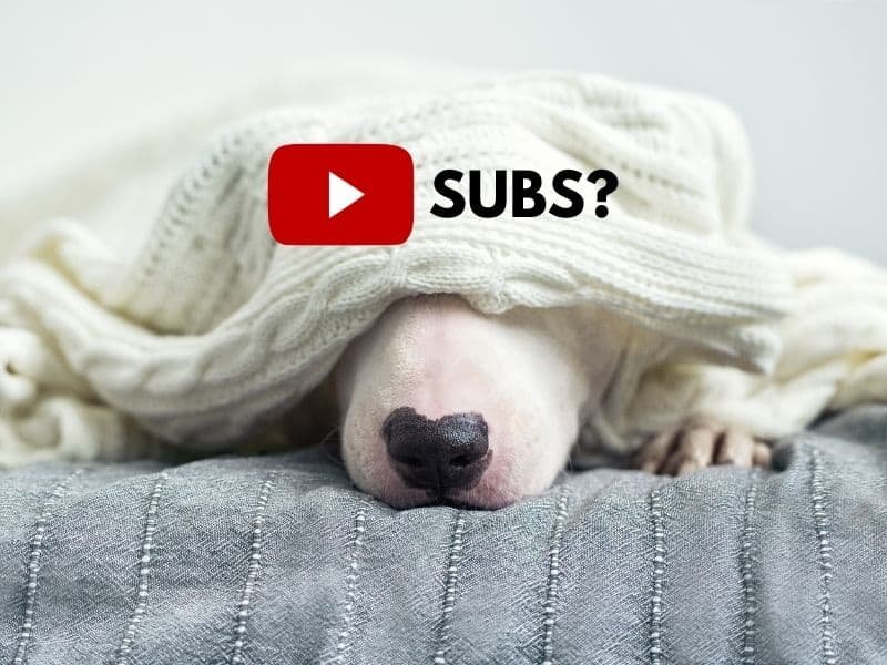 how to hide subscribers on youtube